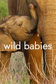 titta-Wild Babies-online