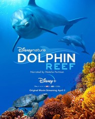 titta-Dolphin Reef-online