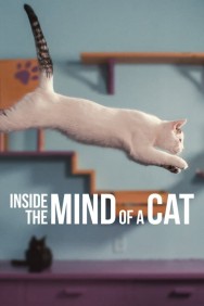titta-Inside the Mind of a Cat-online