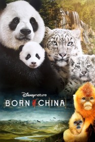titta-Born in China-online