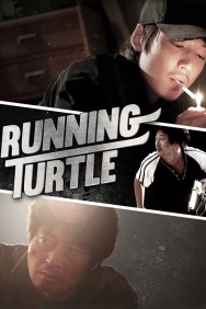 titta-Running Turtle-online