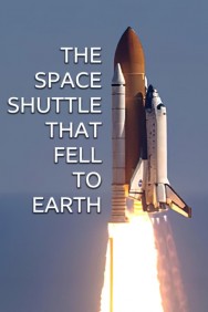 titta-The Space Shuttle That Fell to Earth-online