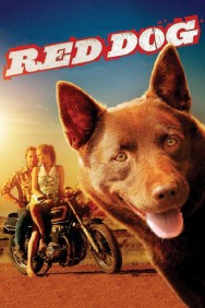 titta-Red Dog-online