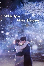 titta-While You Were Sleeping-online