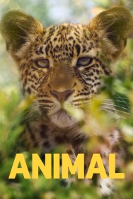 titta-Animal-online