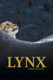 titta-Lynx-online