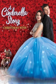 titta-A Cinderella Story: Christmas Wish-online