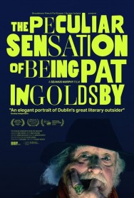 titta-The Peculiar Sensation of Being Pat Ingoldsby-online
