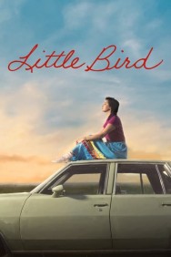 titta-Little Bird-online