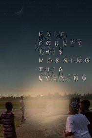 titta-Hale County This Morning, This Evening-online