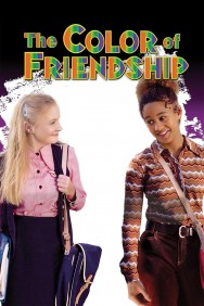 titta-The Color of Friendship-online
