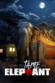 titta-How To Tame An Elephant-online