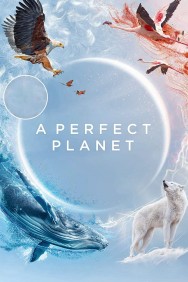 titta-A Perfect Planet-online