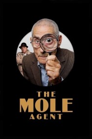 titta-The Mole Agent-online
