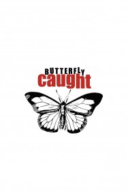 titta-Butterfly Caught-online