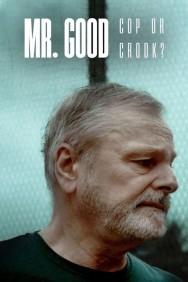 titta-Mr. Good: Cop or Crook?-online