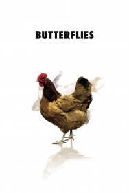 titta-Butterflies-online