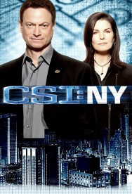 titta-CSI: NY-online