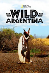 titta-Wild Argentina-online