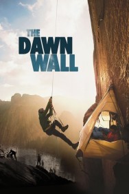 titta-The Dawn Wall-online
