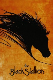 titta-The Black Stallion-online