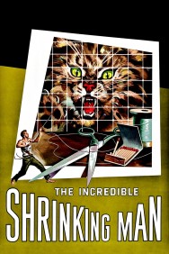 titta-The Incredible Shrinking Man-online