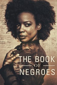 titta-The Book of Negroes-online
