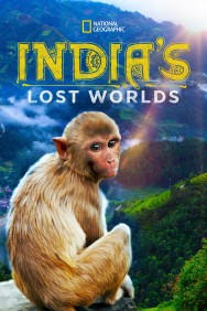 titta-India's Lost Worlds-online