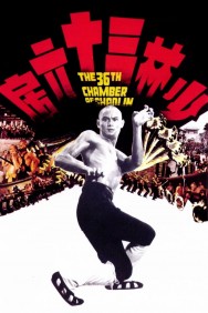 titta-The 36th Chamber of Shaolin-online