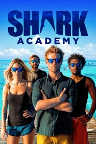 titta-Shark Academy-online