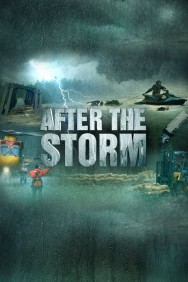 titta-After the Storm-online