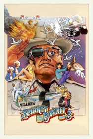 titta-Smokey and the Bandit Part 3-online
