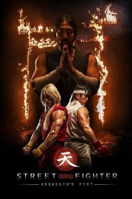 titta-Street Fighter Assassin's Fist-online