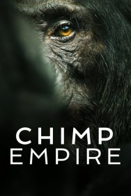 titta-Chimp Empire-online