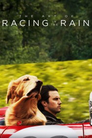titta-The Art of Racing in the Rain-online