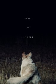 titta-It Comes at Night-online