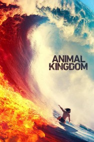 titta-Animal Kingdom-online