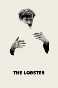 titta-The Lobster-online