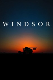 titta-Windsor-online