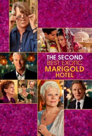 titta-The Second Best Exotic Marigold Hotel-online