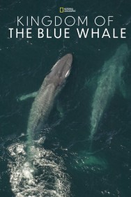 titta-Kingdom of the Blue Whale-online