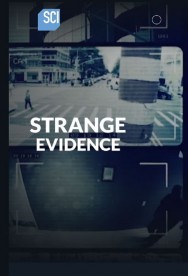 titta-Strange Evidence-online