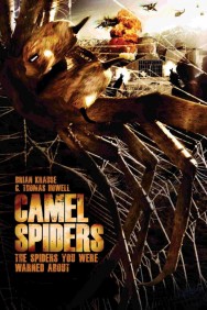 titta-Camel Spiders-online