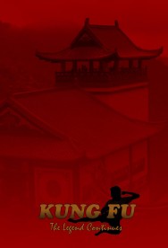 titta-Kung Fu: The Legend Continues-online