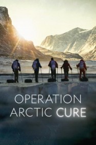 titta-Operation Arctic Cure-online