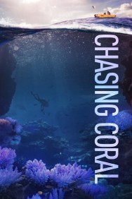 titta-Chasing Coral-online