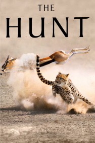 titta-The Hunt-online