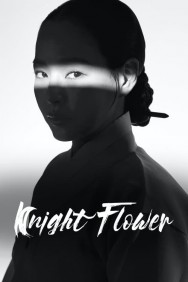 titta-Knight Flower-online