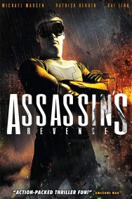 titta-Assassins Revenge-online