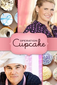 titta-Operation Cupcake-online